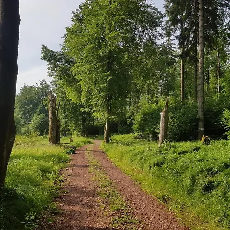 Ferienwohnungen.ruhla アパート ルーラ