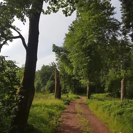 아파트 Ferienwohnungen.ruhla *