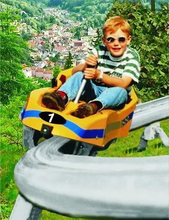 Ferienwohnungen.ruhla *