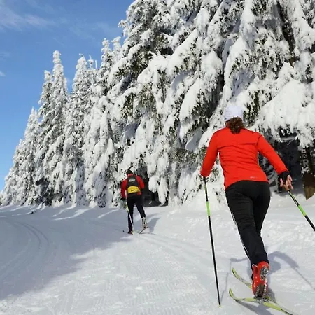 Ferienwohnungen.ruhla *