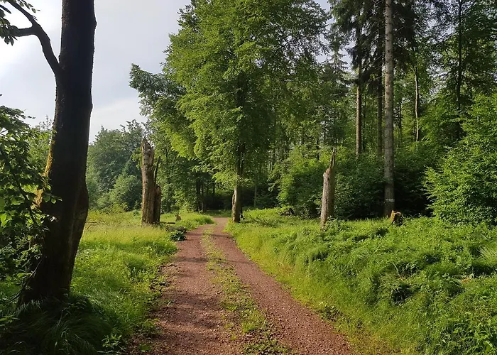 Ferienwohnungen.ruhla Apartment Ruhla