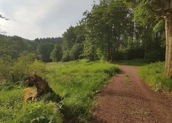 アパート Ferienwohnungen.ruhla *