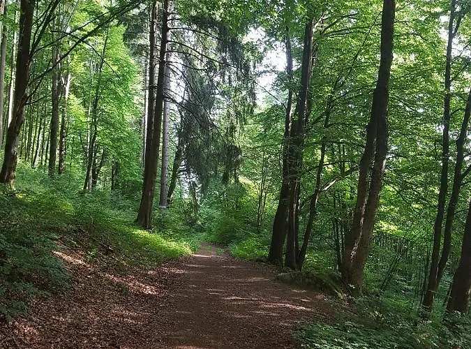 Ferienwohnungen.ruhla Apartment *