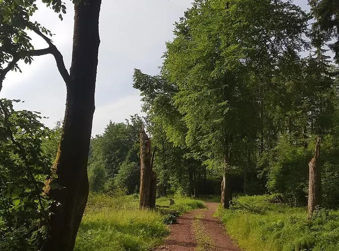 アパート Ferienwohnungen.ruhla *