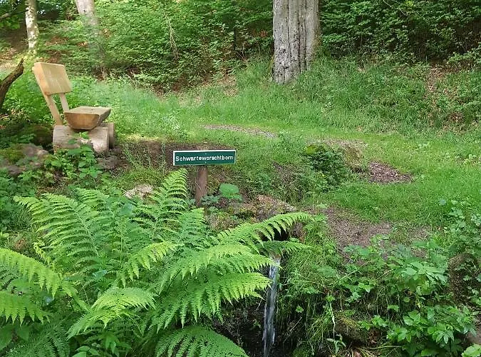 Ferienwohnungen.ruhla Apartment Ruhla