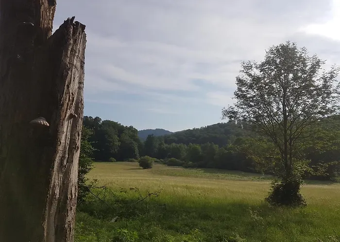 Ferienwohnungen.ruhla *