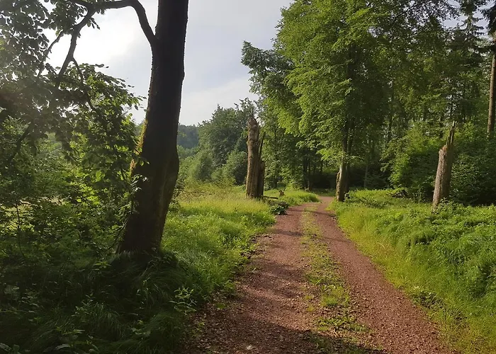 Ferienwohnungen.ruhla アパート ルーラ