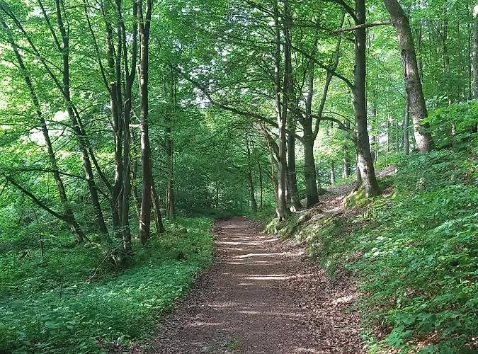 Ferienwohnungen.ruhla