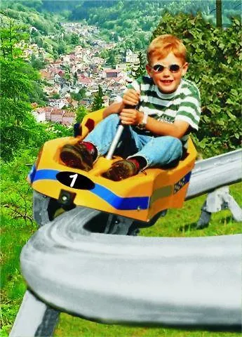 Ferienwohnungen.ruhla *