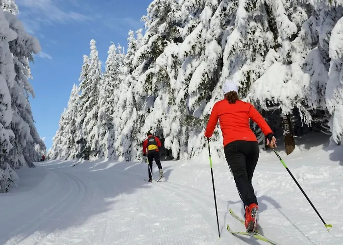 Ferienwohnungen.ruhla *